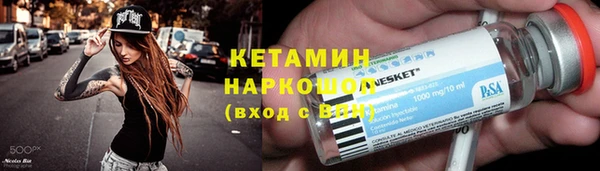 сатива Россошь