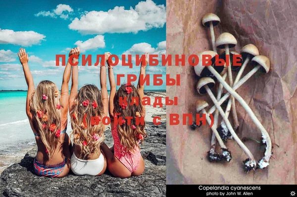 экстази Абдулино