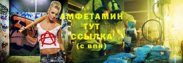 шишки Рославль